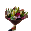 import placeholder for 1858