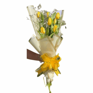 import placeholder for 2270