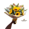 amanecer del bosque import placeholder for 627