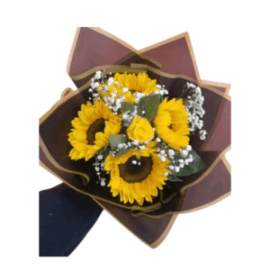 import placeholder for 2282