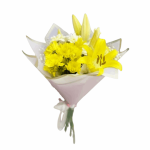 import placeholder for 2290
