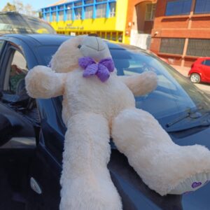 oso gigante