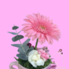 import placeholder for 746